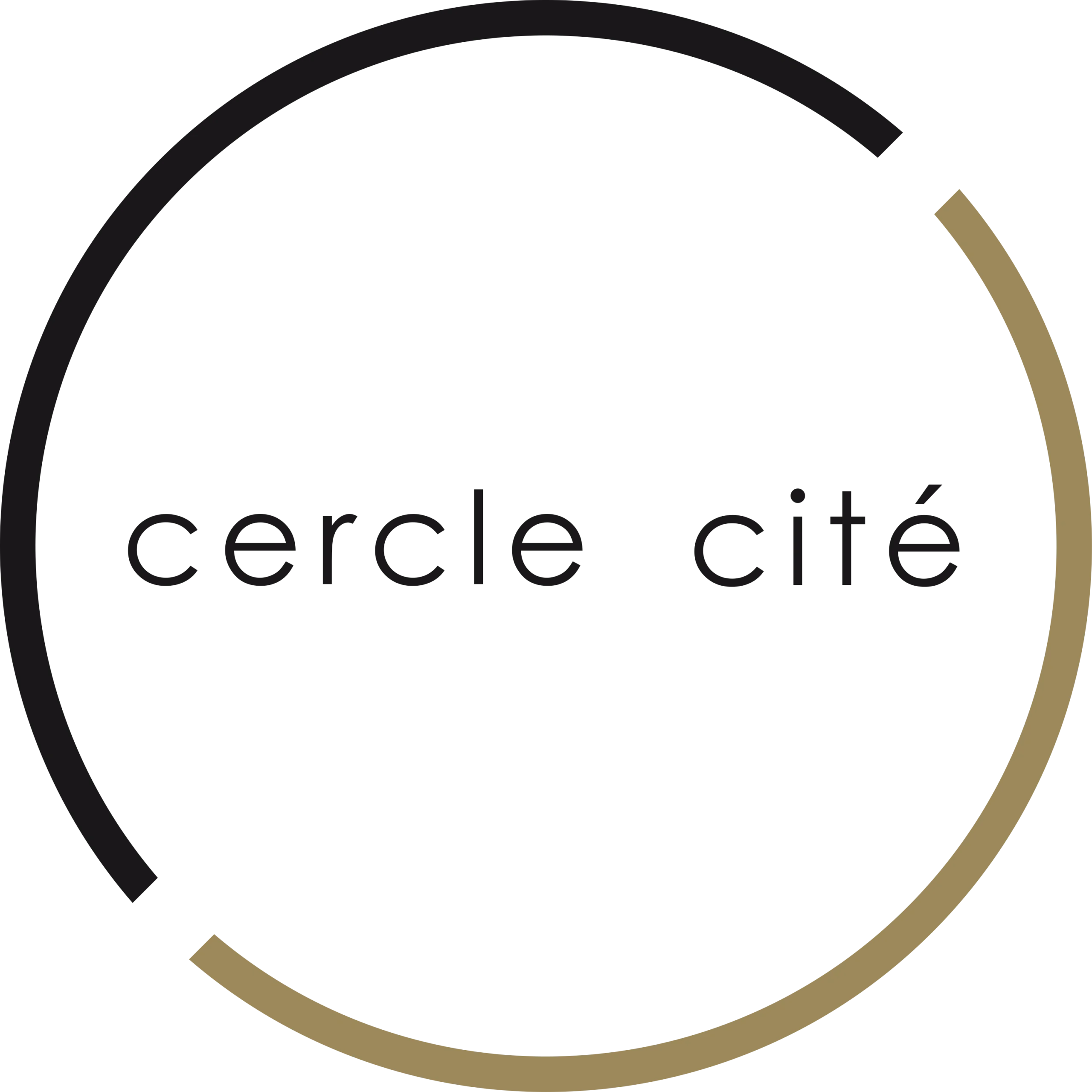 Копія _logo_cercle cite